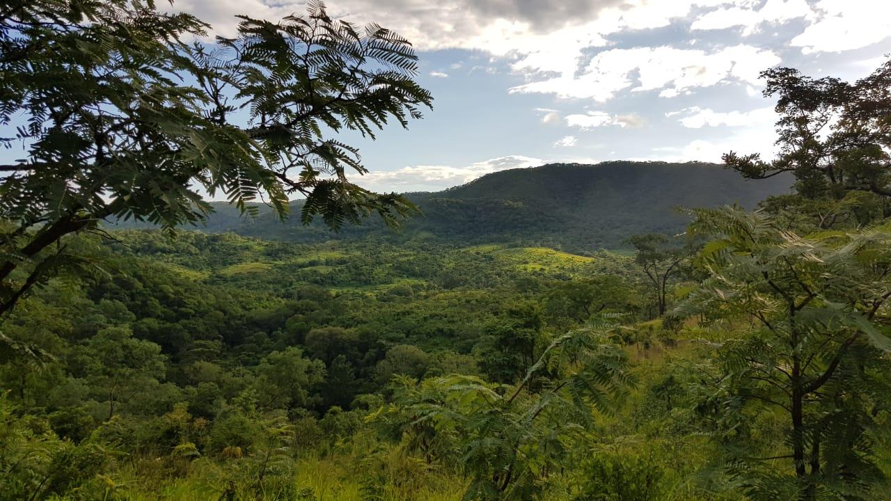 Green valley in Muchinga Province