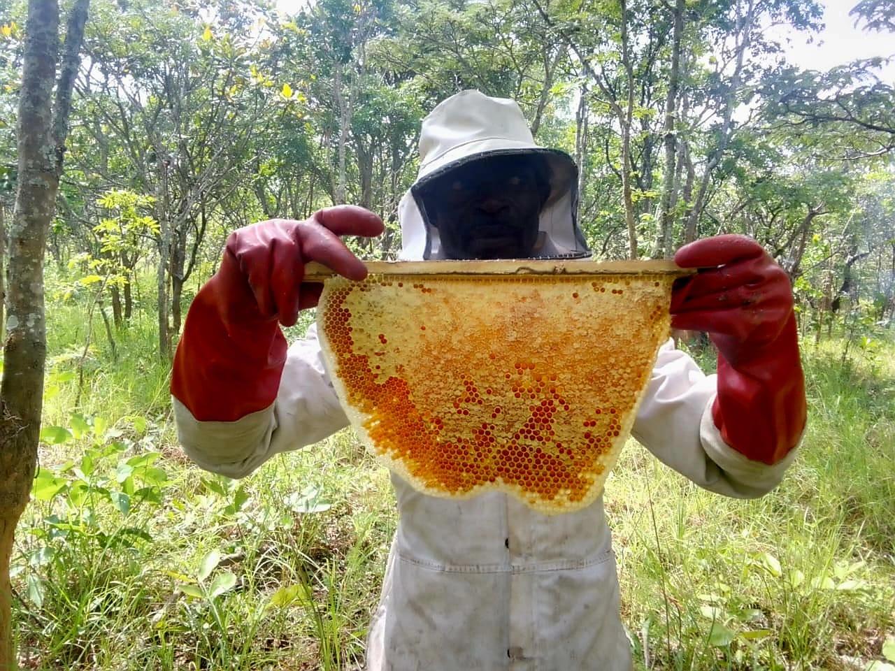 Honey